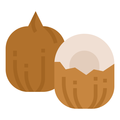 noix de coco Icône gratuit noix de coco Icône gratuit