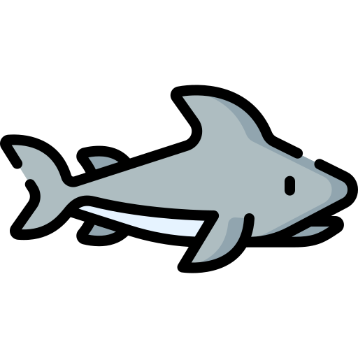 requin Icône gratuit requin Icône gratuit