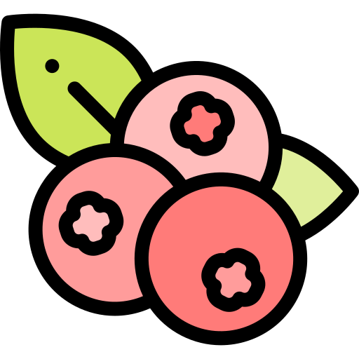 Cranberry free icon