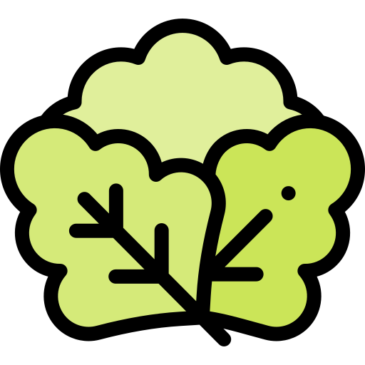 상추 무료 아이콘