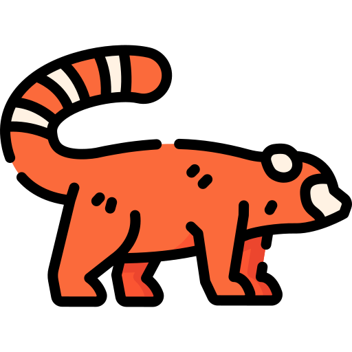 Red panda Special Lineal color icon