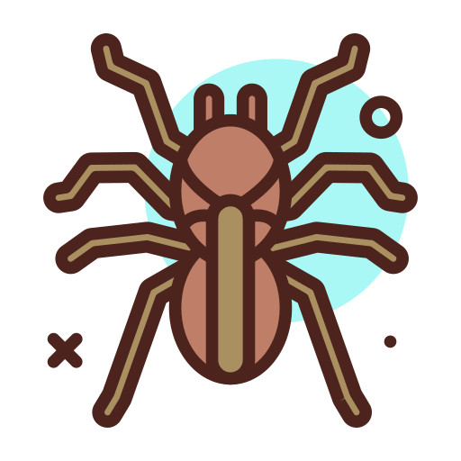 tarántula icono gratis