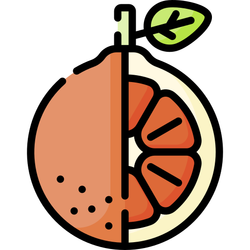 orange Icône gratuit orange Icône gratuit