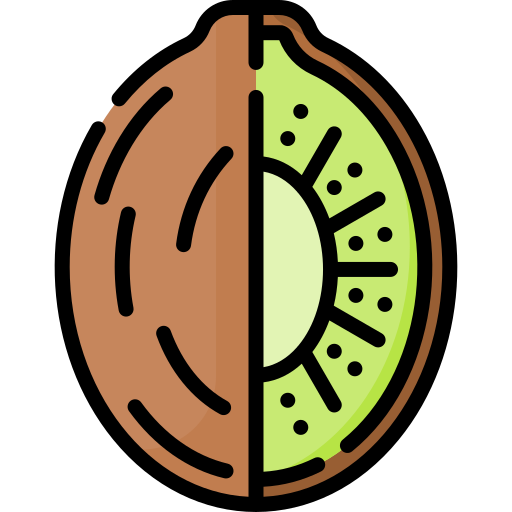 kiwi icono gratis