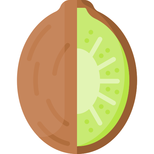 kiwi Icône gratuit kiwi Icône gratuit