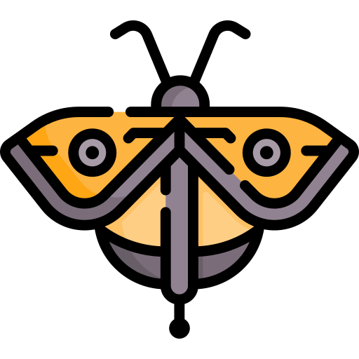 fliegen kostenlos Icon