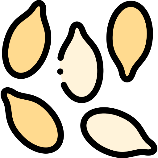 Sesame free icon Sesame free icon