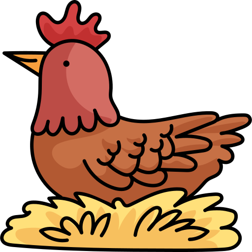 Hen Clipart Laid - Imagem De Galinha Em Desenho - Png Download