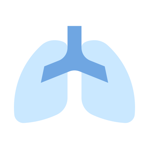 Легкие человека бесплатно иконка Легкие человека бесплатно иконка