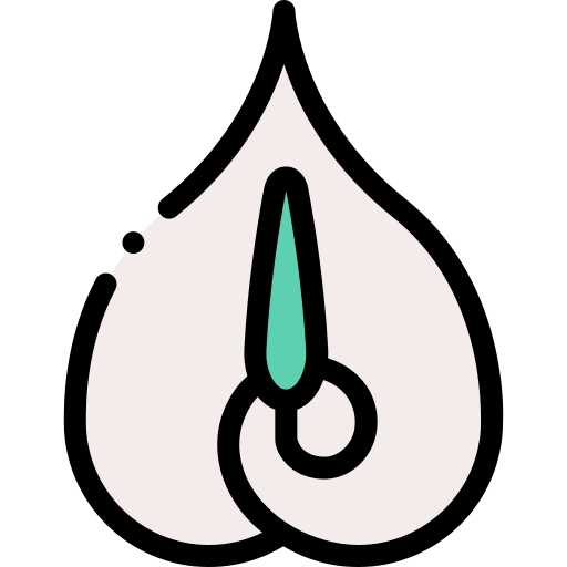 Цветок бесплатно иконка