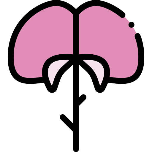 꽃 무료 아이콘