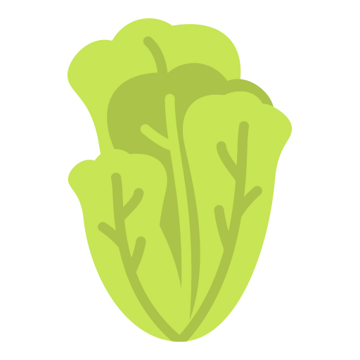 Lettuce - Free food icons