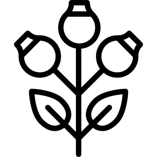 rosen kostenlos Icon