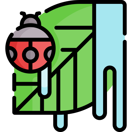 Ladybug free icon