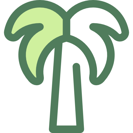 palmera icono gratis