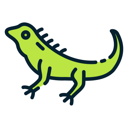 Iguana free icon Iguana free icon
