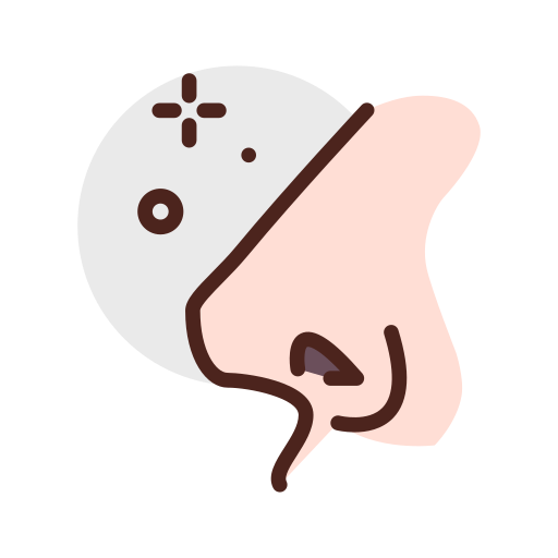 Nose free icon Nose free icon