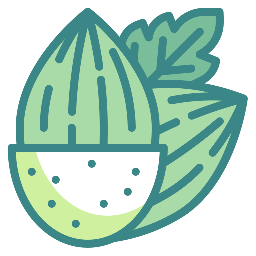 Almonds free icon