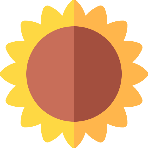 girasol icono gratis