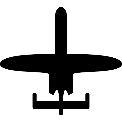 avion de petite taille Icône gratuit
