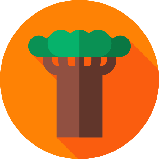 baobab kostenlos Icon
