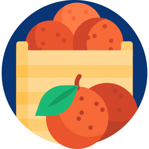 des oranges Icône gratuit des oranges Icône gratuit
