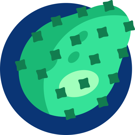 Cactus free icon Cactus free icon