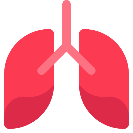 pulmones humanos icono gratis