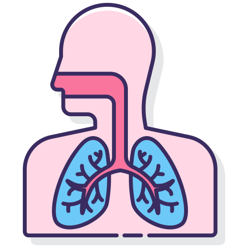 Respiratory system - free icon