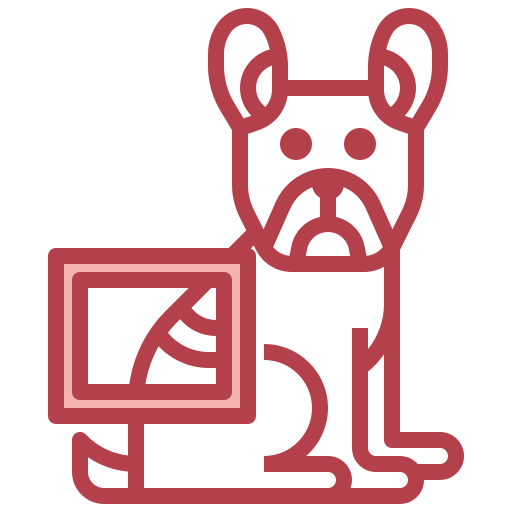 X ray free icon X ray free icon