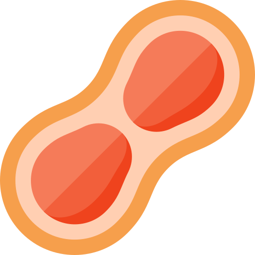 Peanut free icon Peanut free icon