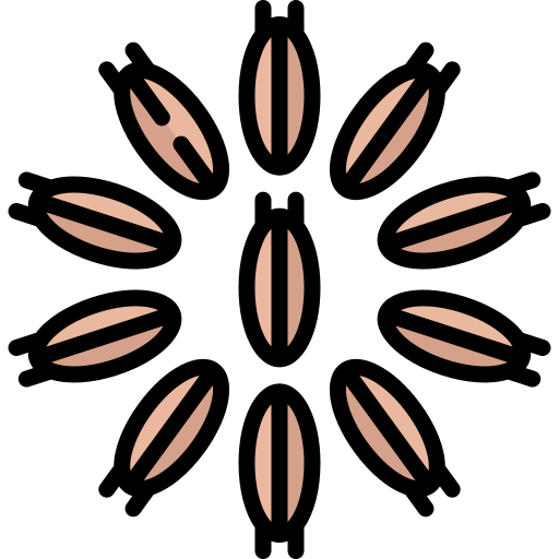 Cumin free icon