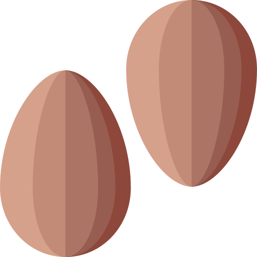 아몬드 무료 아이콘