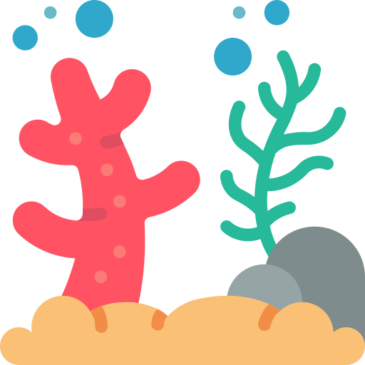 Reef free icon