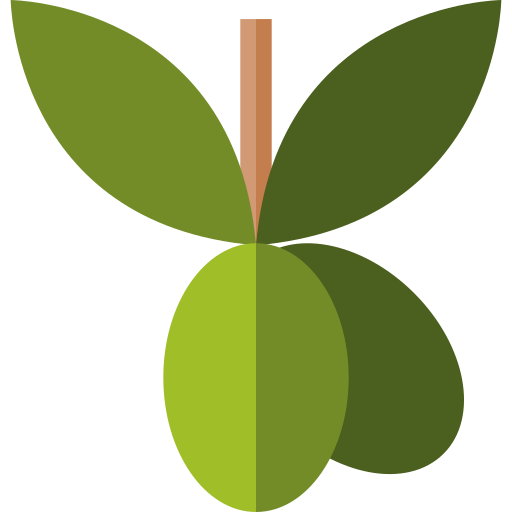olives Icône gratuit
