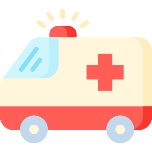 Ambulance Special Flat icon