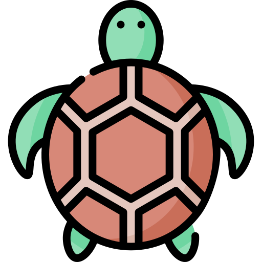 Turtle free icon Turtle free icon
