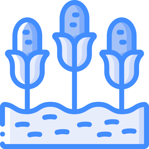 Corn free icon Corn free icon