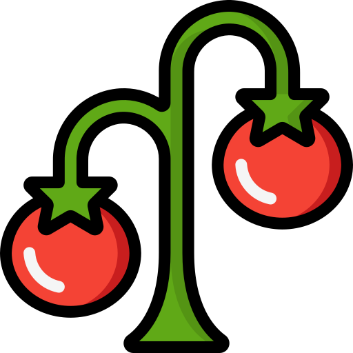 tomate kostenlos Icon