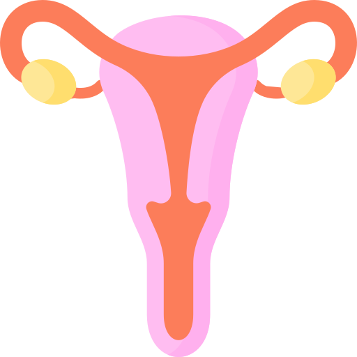 Fallopian Tubes Free Medical Icons