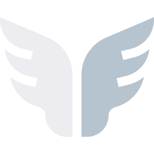 ailes Icône gratuit