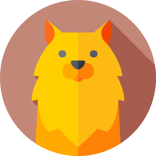 pomeranio icono gratis