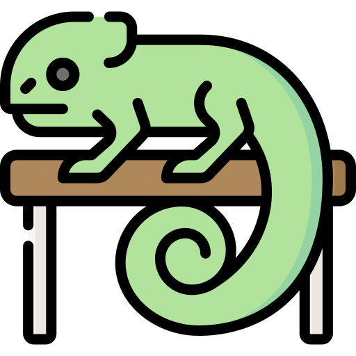 Chameleon free icon Chameleon free icon