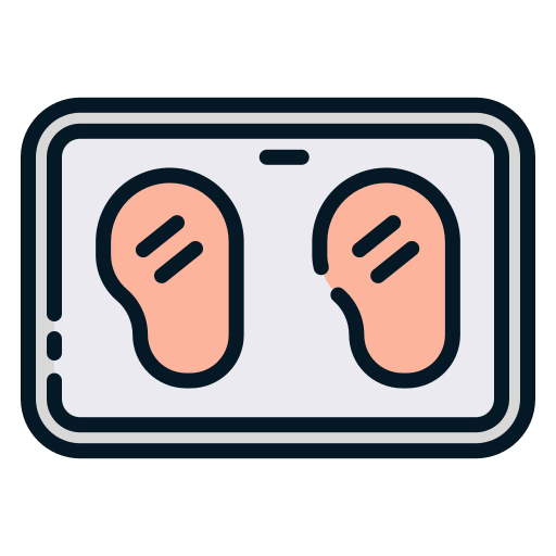 Chicken breast free icon