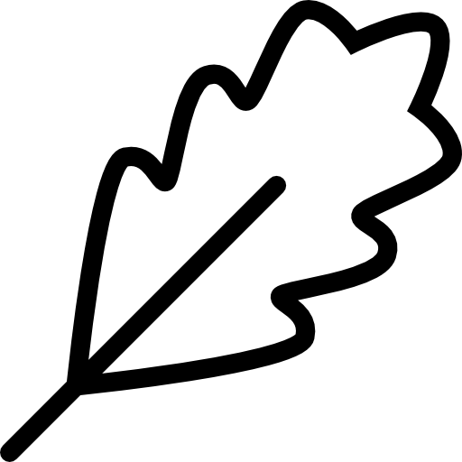 Leaf - free icon