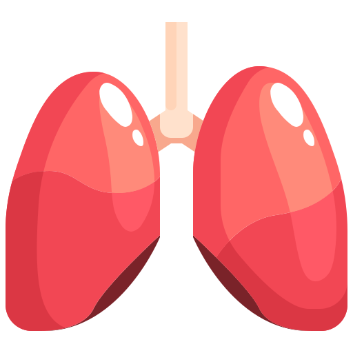 Lungs - Free healthcare and medical icons