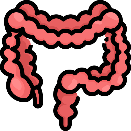 Intestine - free icon