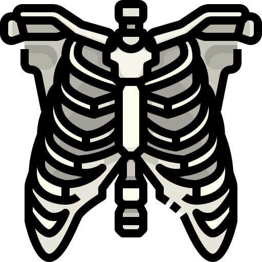 Skeleton - free icon