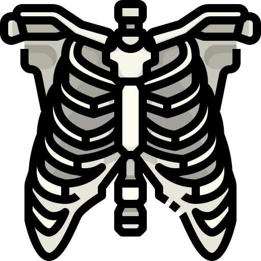 Skeleton Clipart Torso - T Shirts For Roblox - Free Transparent PNG Clipart  Images Download