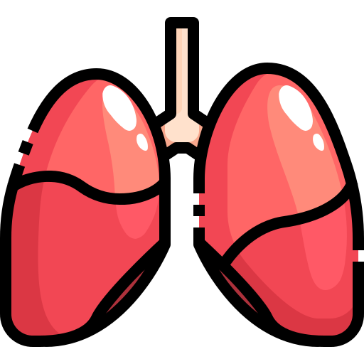 Lungs - Free Icon